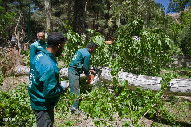خسارات تند باد شدید در شرق استان سمنان