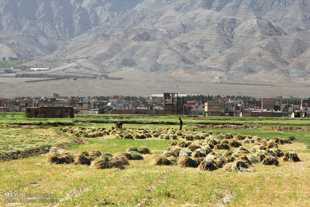 معضل حاشیه نشینی در بیرجند استان خراسان جنوبی