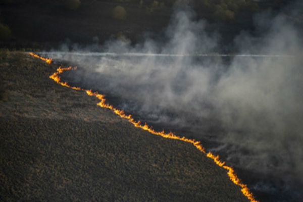 فیلم/ آتش‌سوزی در جنگلهای اطراف نیروگاه چرنوبیل