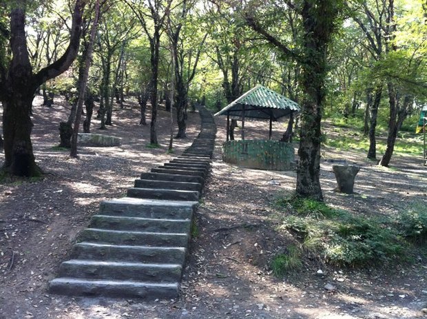 اولین پارک جنگلی اردبیل امسال احداث می‌شود