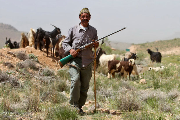 انحلال سازمان امور عشایر؛ پایانی بر زندگی ذخائر انقلاب