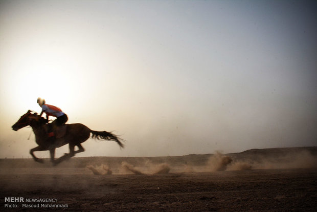 مرکز اسب سواری با استانداردهای بالا در خوزستان احداث می شود
