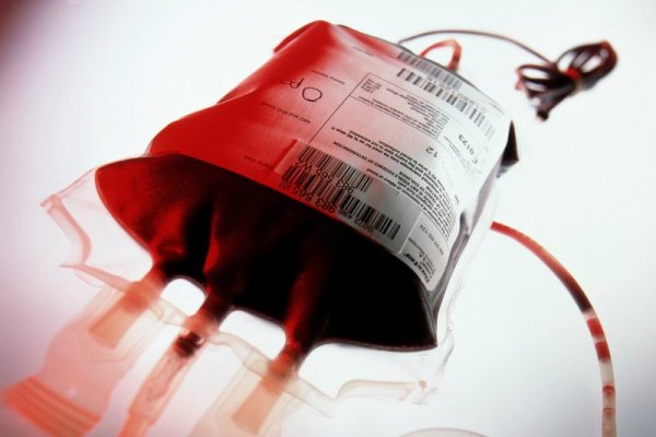 محصولی با طول عمر اندک و مزایای فراوان – خبرگزاری مهر | تازهترین اخبار ایران و جهان محصولی با طول عمر اندک و مزایای فراوان – خبرگزاری مهر | تازهترین اخبار ایران و جهان