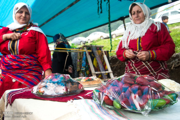 Strawberry Festival in Mazandaran