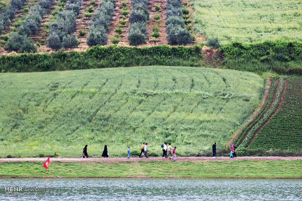 Strawberry Festival in Mazandaran