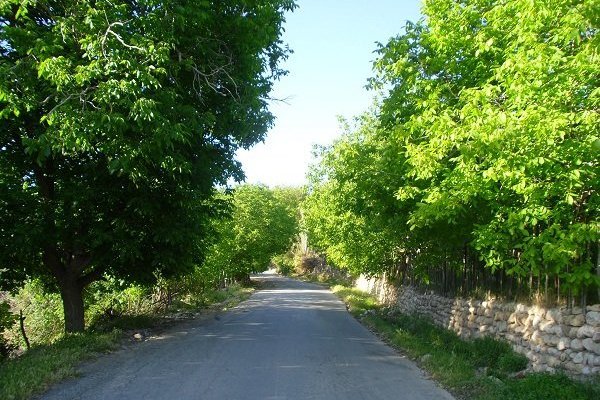 «میدان»روستایی از جنس تولید و گردشگری/باغات هلو و گردو شاخص روستا