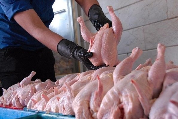 ذخیره‌سازی ۸۰ هزار تن مرغ/ تدابیر ویژه برای تنظیم بازار رمضان