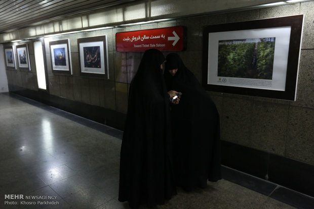 نمایشگاه عکس قصه های امید