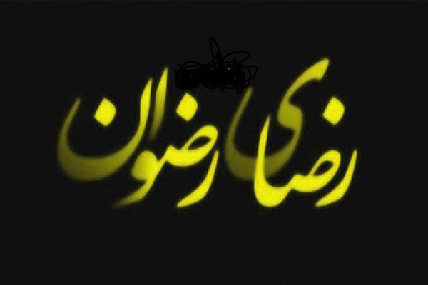 آثاری که به عشق امام رضا (ع) ساخته شد/ دخیلتم یا ضامن آهو ...