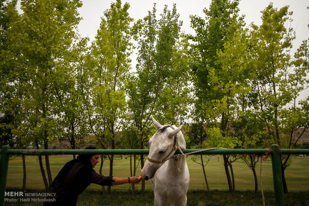 مسابقات چوگان بانوان