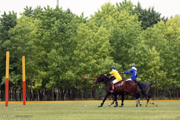 Tehran holds first women’s polo cup