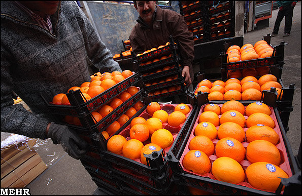 هشدار وزارت جهادکشاورزی درباره قاچاق میوه