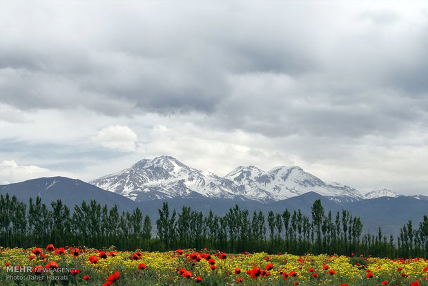 مشگینشهر تکهای کوچکی از بهشت در دامنه سرسبز سبلان