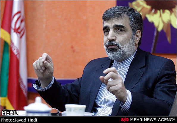 ایران به دنبال صنعت هسته‌ای صلح‌آمیز است