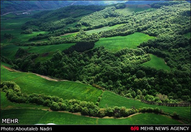 عزم ایران برای ثبت جنگل‌های هیرکانی در فهرست آثار جهانی 