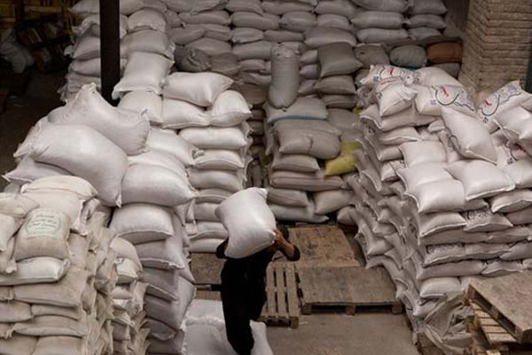 ۳۳ هزار تن برنج در معرض فساد/ دستگاههای دولتی تفکر سیستمی ندارند