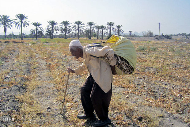 کار و تلاش با وجود کهولت سن و بیماری