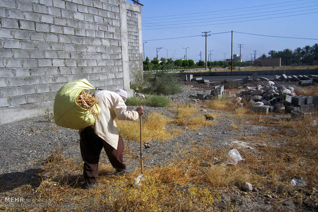 کار و تلاش با وجود کهولت سن و بیماری