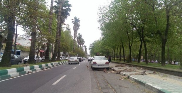 وزش باد شدید رشت را در برگرفت