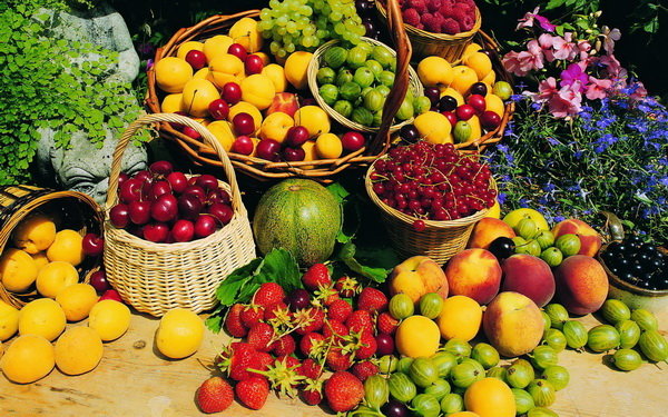 کاهش قیمت میوه در روزهای نخست آغاز رمضان