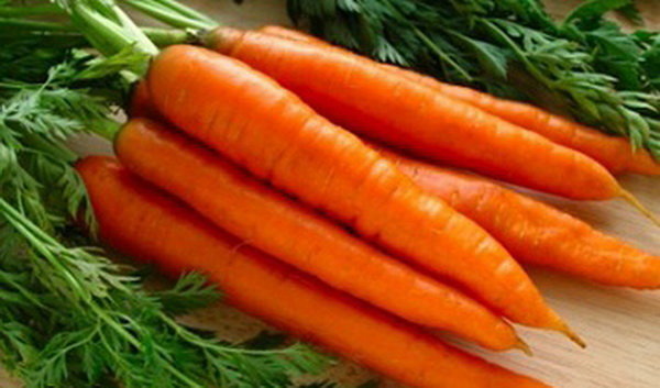 تولید ۱۱ هزار تن هویج در چهارمحال و بختیاری