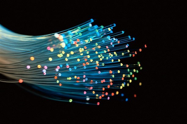 fiber