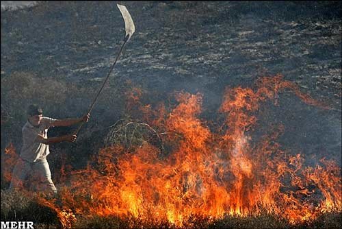 آتش سوزی گندمزارهای گلوگاه خسارت ۳ ميليارد ريالی داشت