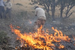 مهار آتش کوه نارک گچساران/جنگلهای خامی و دیل همچنان می سوزند