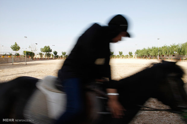 اعزام تک سوارکار ایران به المپیک جوانان آرژانتین بدون اسب مالکی باشگاه سوارکاری مهر شهرستان شاهرود