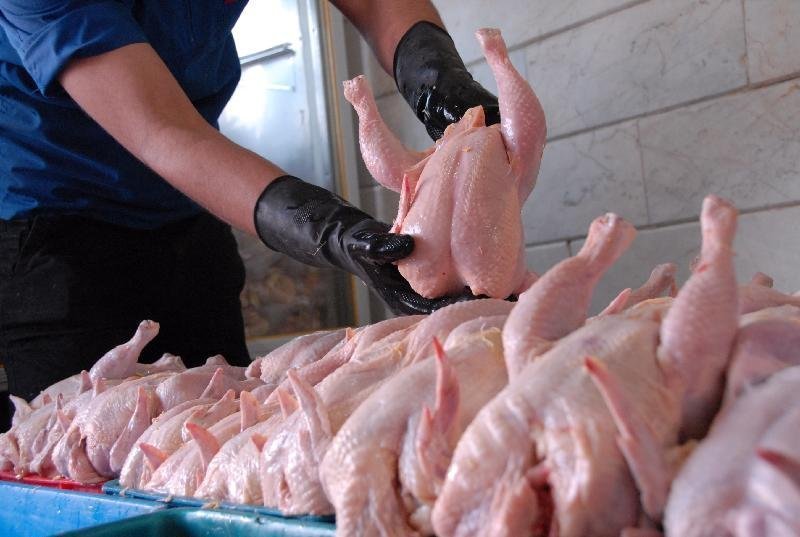 توزیع مرغ گرم با قیمت نامتعارف در تویسرکان ممنوع است