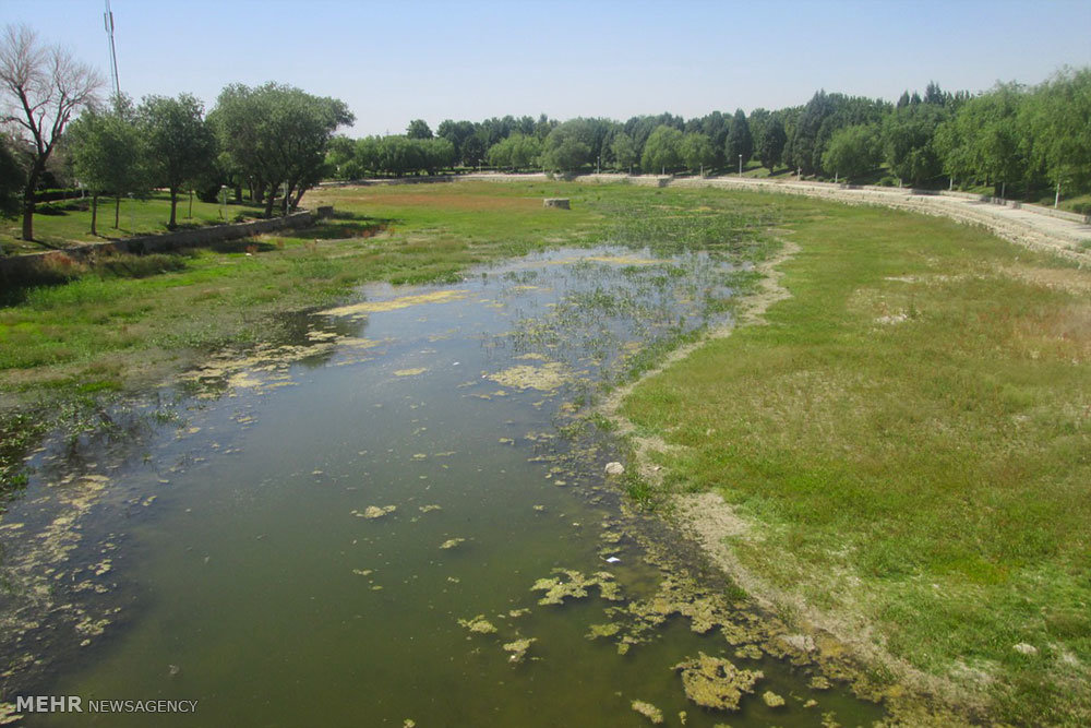 کاشت گل در سطح شهر اصفهان