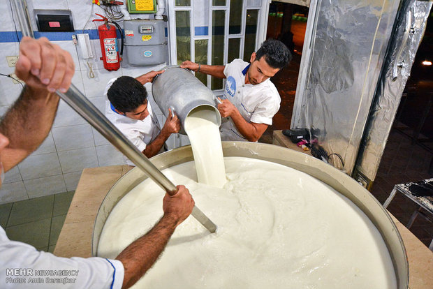 Tar Halva of Shiraz