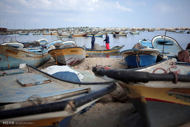 پرورش ماهی در غزه‎