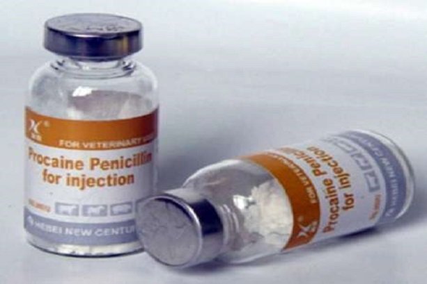 Iran unique producer of Penicillin G in ME