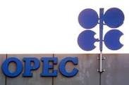 Iran 5th gas exporter in 2014: OPEC  