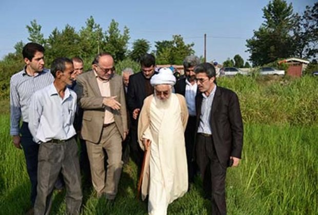 بازدید از شالیزارهای کم آب در لشت‌نشا و خشک‌بیجار - خبرگزاری مهر | اخبار  ایران و جهان | Mehr News Agency