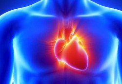ترمیم بافت‌ آسیب دیده‌ قلب با فناوری نانو