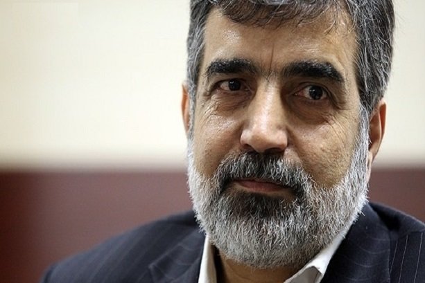 Iran, IAEA close to settle remaining issues 