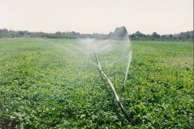 «کم آبی» پایان قصه نیست؛ آبیاری قطرهای آغاز یک تحول