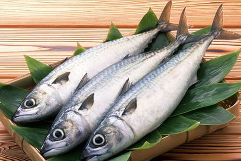 تاثیر مصرف ماهی های روغنی در پیشگیری از عفونت مخاط بینی
