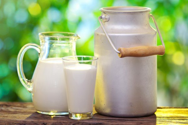 آخرین وضعیت قیمت خرید  شیرخام از دامداران