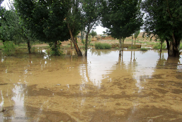 خسارت سیلاب در دامغان