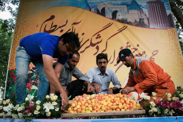 چهارمین جشنواره زردآلوی بسطام