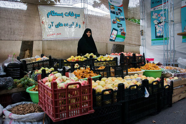 چهارمین جشنواره زردآلوی بسطام