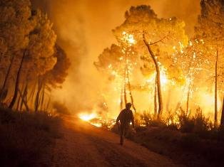 کاهش ۹ درصدی سطح آتش‌سوزی جنگل‌های کشور