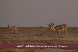 اثرات سوء خشكسالی بر زیستگاه‌ها و تنوع زیستی استان بوشهر