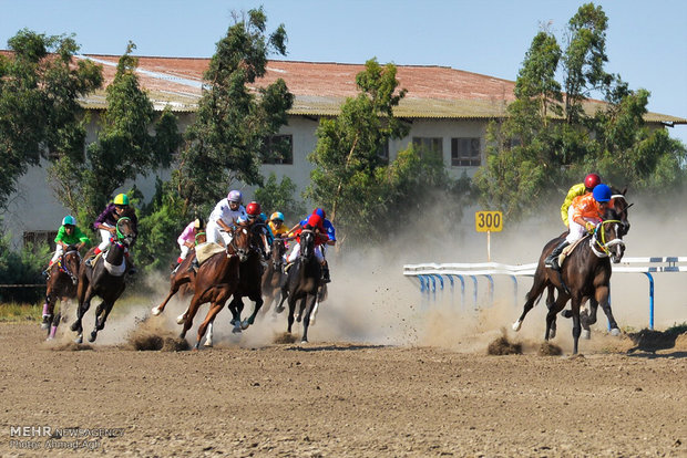 Bandar Torkaman Horse-riding course