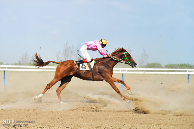 Bandar Torkaman Horse-riding course