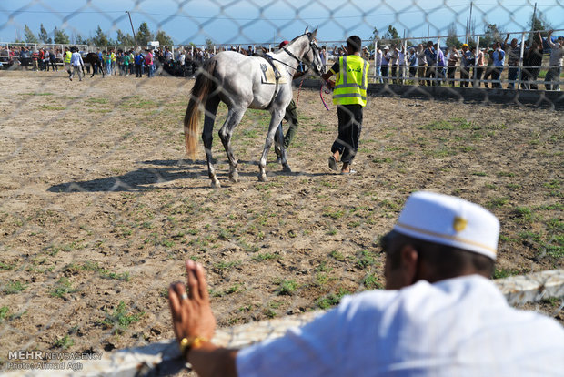 Bandar Torkaman Horse-riding course