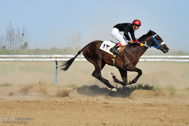 Bandar Torkaman Horse-riding course